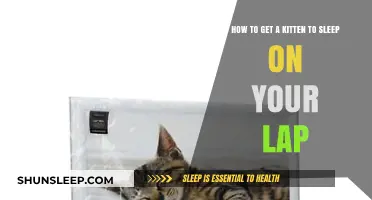 Cozy Cuddles: Tips to Get Your Kitten to Sleep on Your Lap