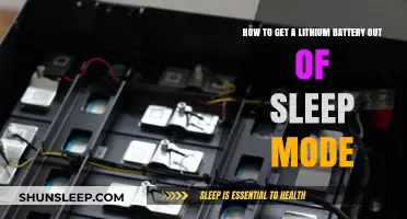 Reviving Your Lithium Battery: Simple Steps to Exit Sleep Mode
