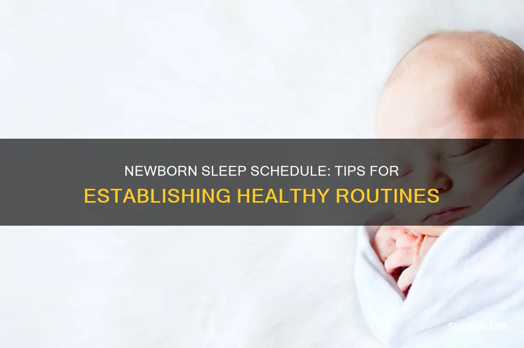 how to get a new born on a sleep schedule