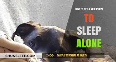 Helping Your New Puppy Sleep Alone: Tips for a Peaceful Night