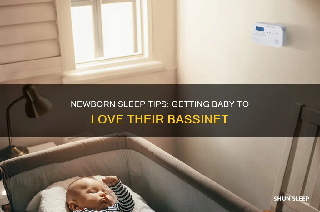 how to get a newborn to sleep in theor basinett