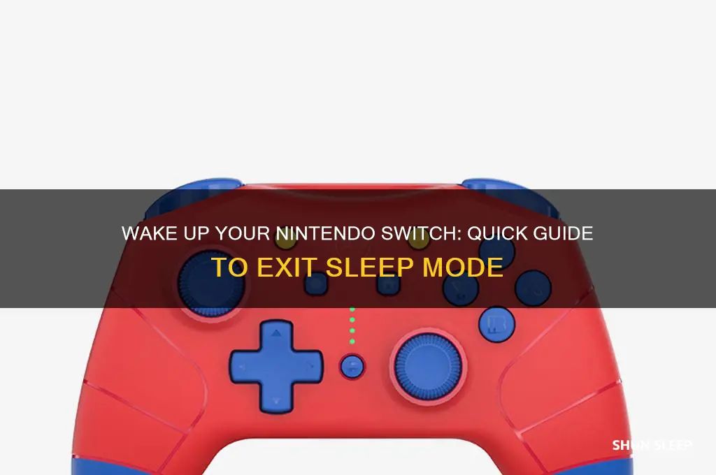 how to get a nintendo switch out of sleep mode