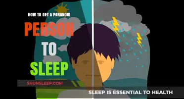 Easing Paranoia: Gentle Strategies to Help Paranoid Individuals Sleep Peacefully