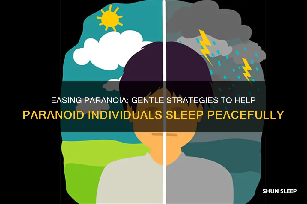 how to get a paranoid person to sleep