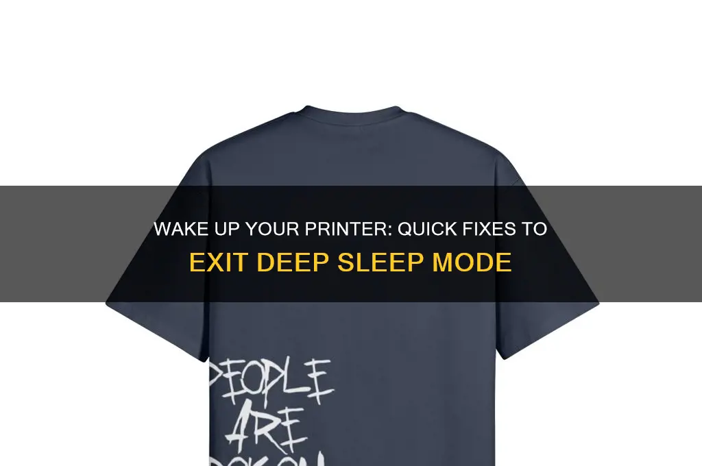 how to get a printer out of deep sleep