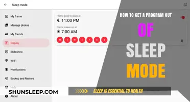 Wake Up Your Program: Quick Fixes to Exit Sleep Mode