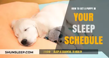 Syncing Your Sleep Schedule with a New Puppy: Tips for Success