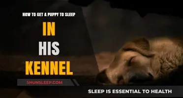 Training Your Puppy: Tips for Kennel Sleep Success