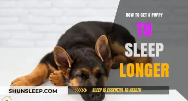 Helping Your Puppy Sleep Longer: Tips for a Restful Night