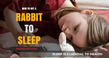 Helping Your Rabbit Sleep: Tips for a Peaceful Bunny Slumber