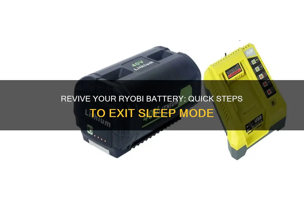 how to get a ryobi battery out of sleep mode