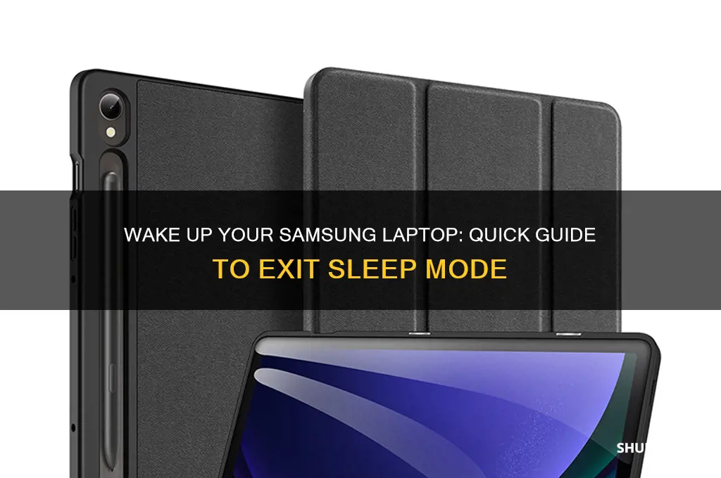 how to get a samsung laptop out of sleep mode