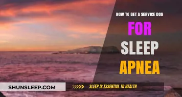 Service Dogs for Sleep Apnea: A Guide to Getting Assistance