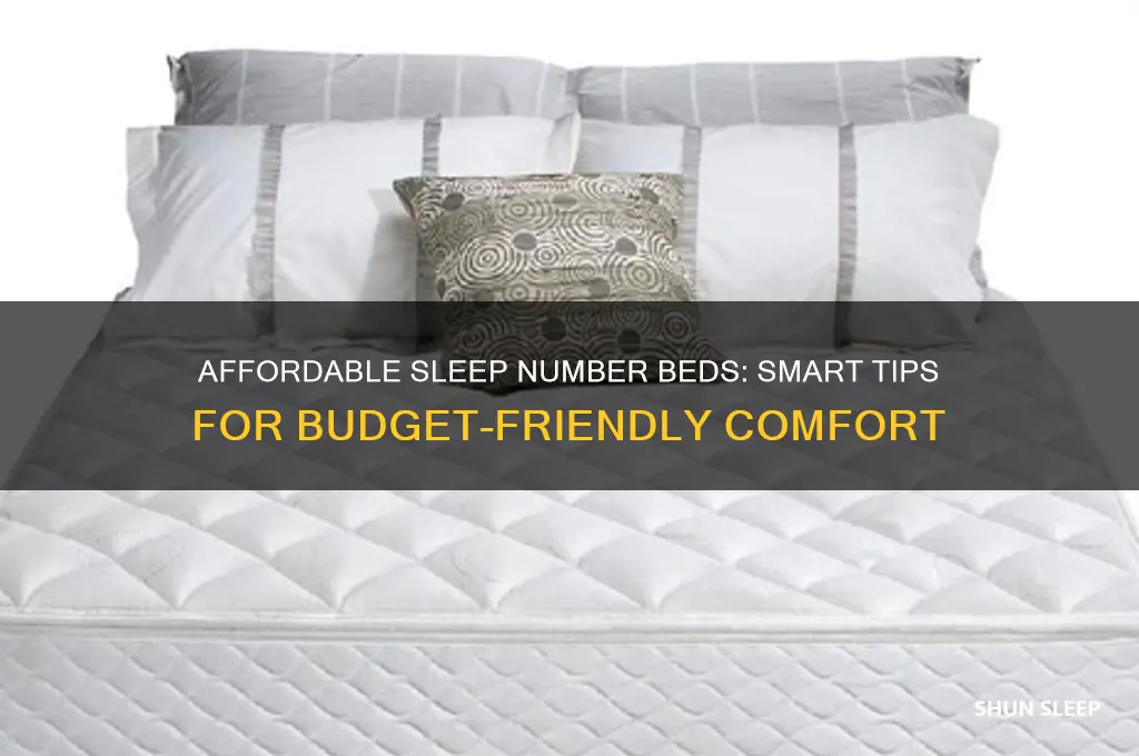 how to get a sleep number bed cheap