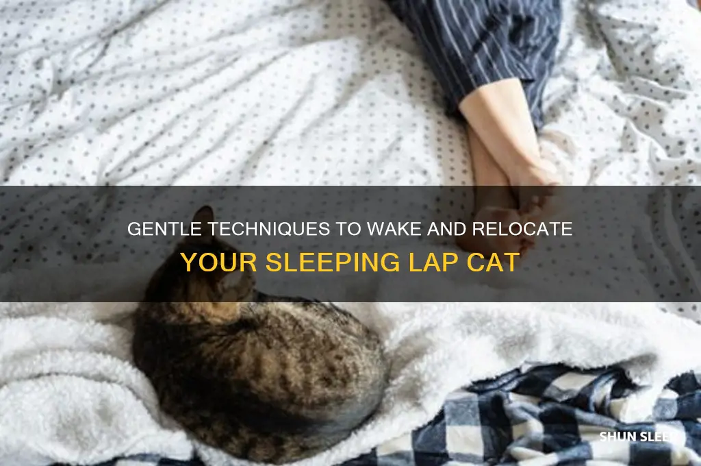 how to get a sleeping cat off your lap