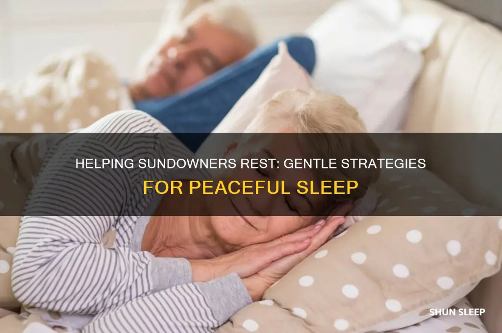 how to get a sundowner to sleep
