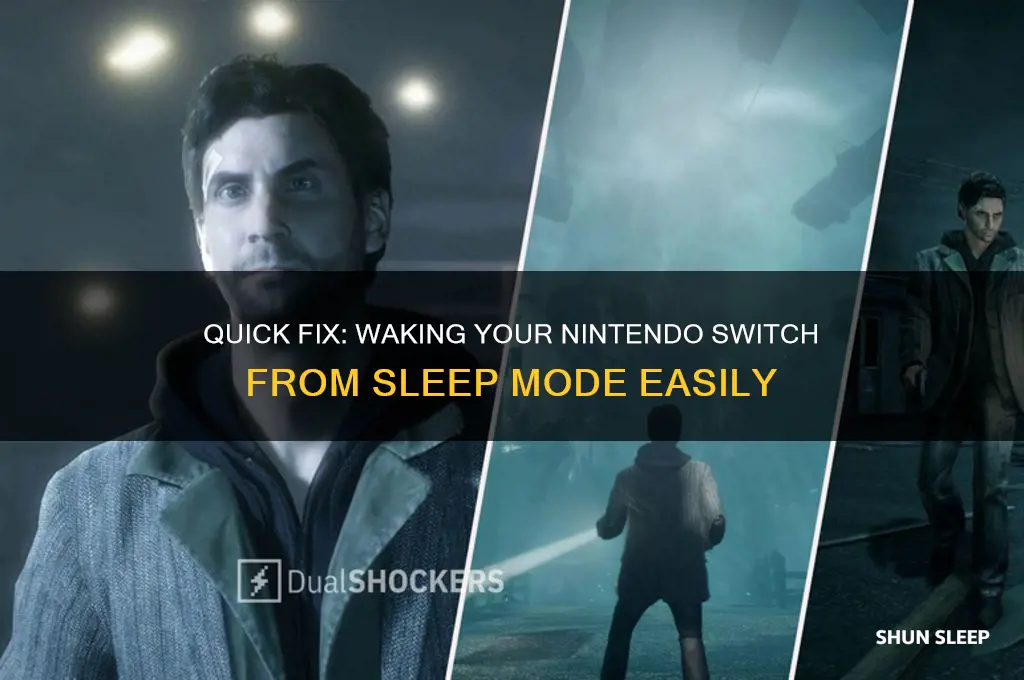 how to get a switch out of sleep mode