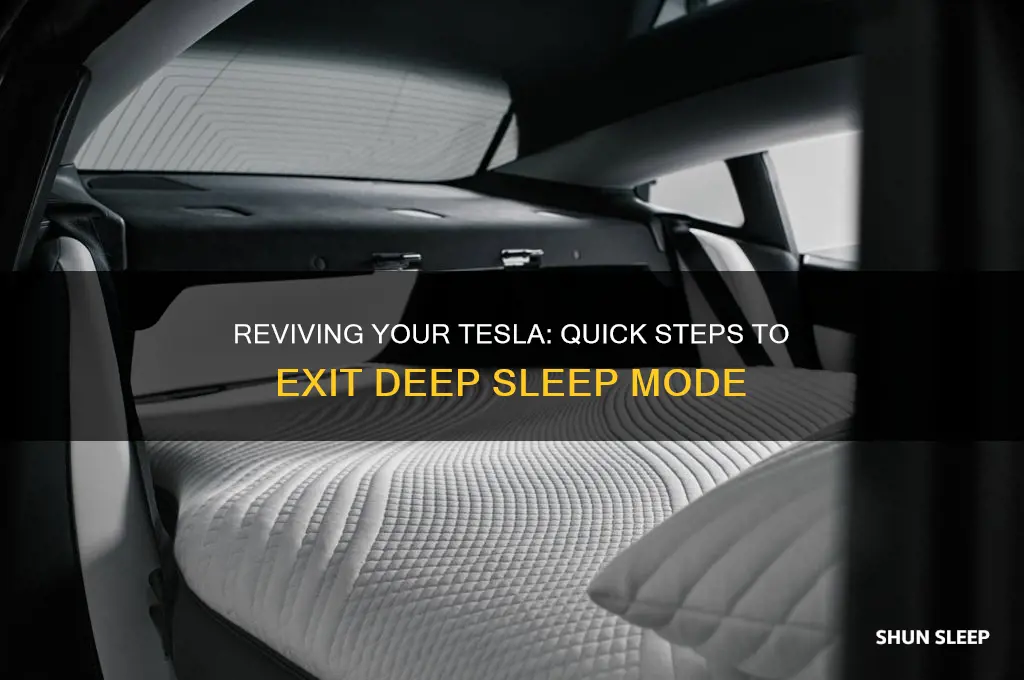 how to get a tesla out of deep sleep