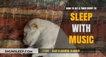 Soothing Melodies: Helping Your Tired Puppy Drift Off to Sleep