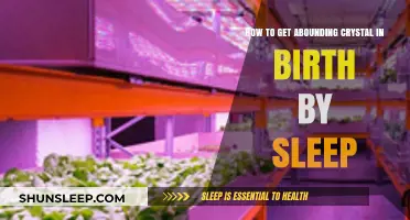 Mastering Abounding Crystal Farming in Birth by Sleep: Expert Tips