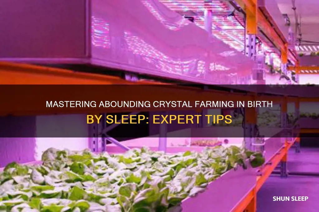 how to get abounding crystal in birth by sleep