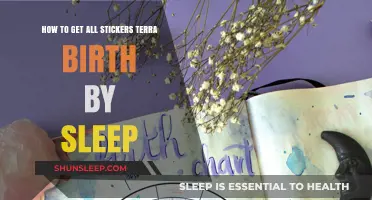 Unlocking All Stickers in Terra Birth by Sleep: A Comprehensive Guide