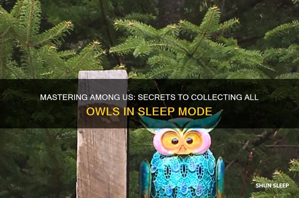 how to get all the owls on among the sleep
