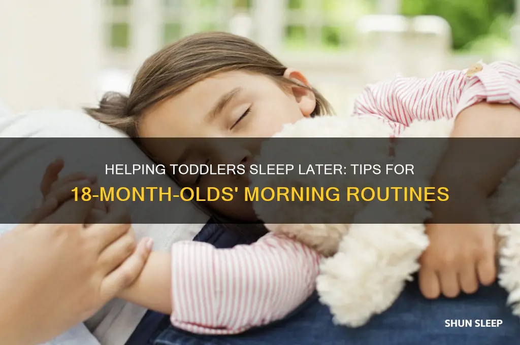 how to get an 18 month old to sleep later