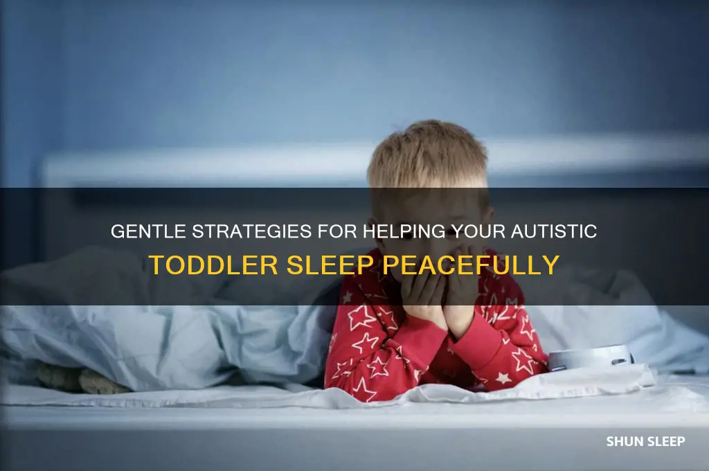 how to get an autistic 3 year old to sleep
