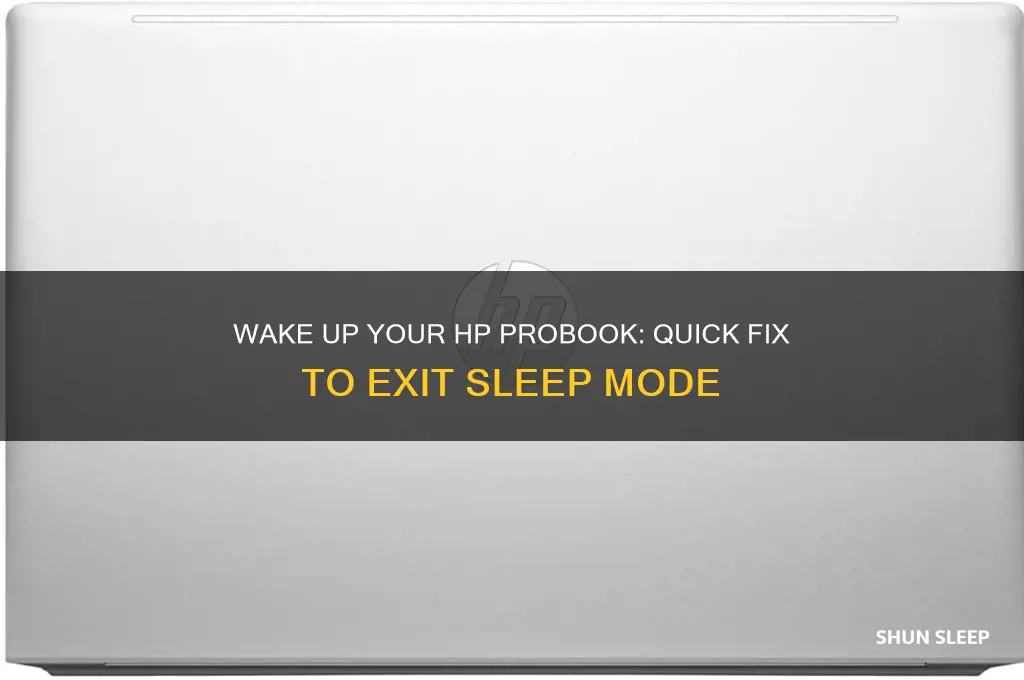 how to get an hp probook out of sleep mode