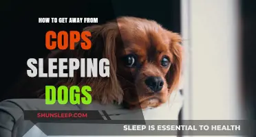 Evasive Tactics: Outsmarting Cops in Sleeping Dogs Stealth Guide