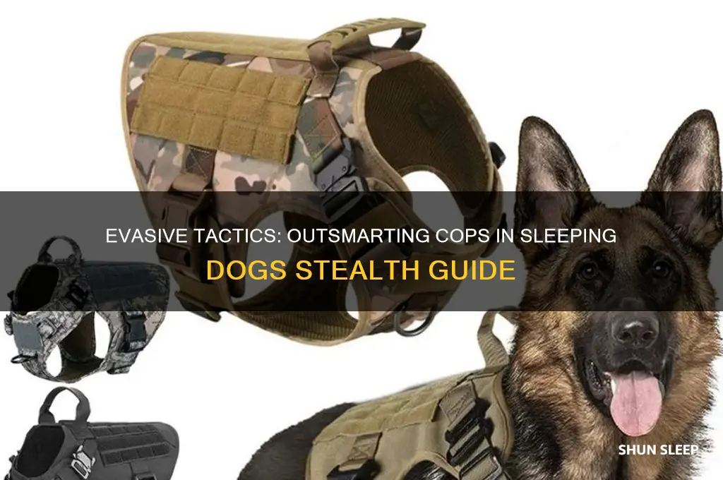 how to get away from cops sleeping dogs
