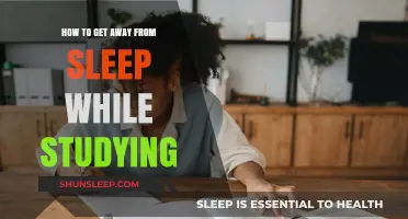 Stay Alert: Effective Strategies to Avoid Sleep During Study Sessions