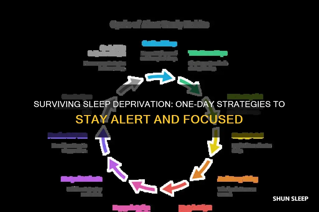 how to get away with sleep deprivation for one day