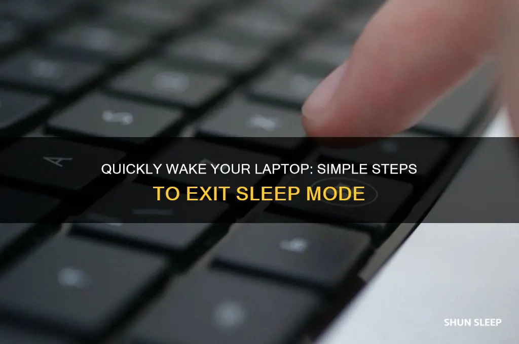how to get back laptop from sleep mode