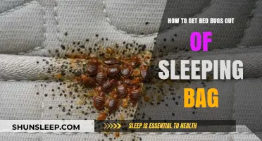 Effective Ways to Eliminate Bed Bugs from Your Sleeping Bag