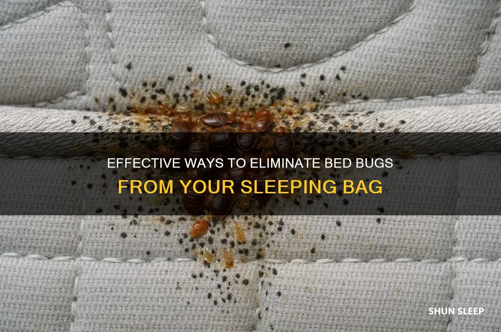 how to get bed bugs out of sleeping bag
