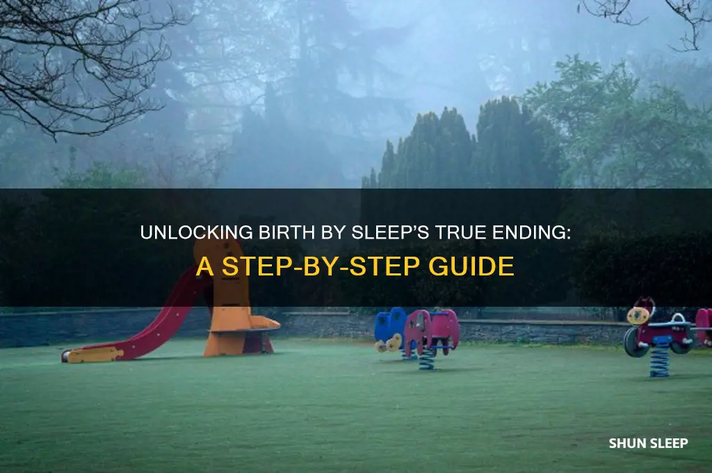 how to get birth by sleep true ending