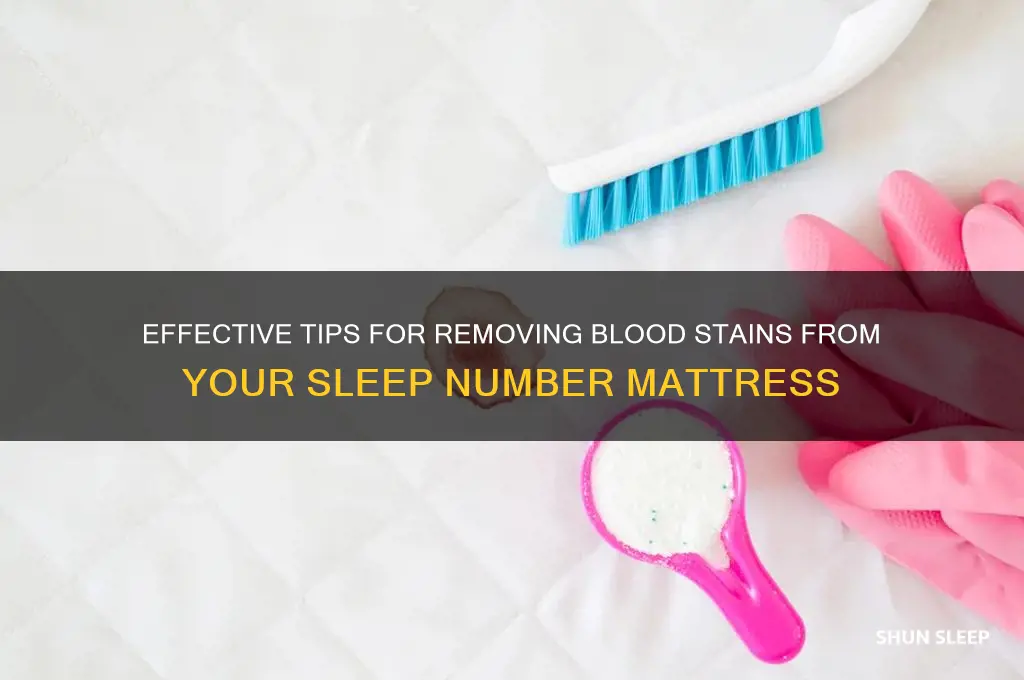 how to get blood out of a sleep number mattress