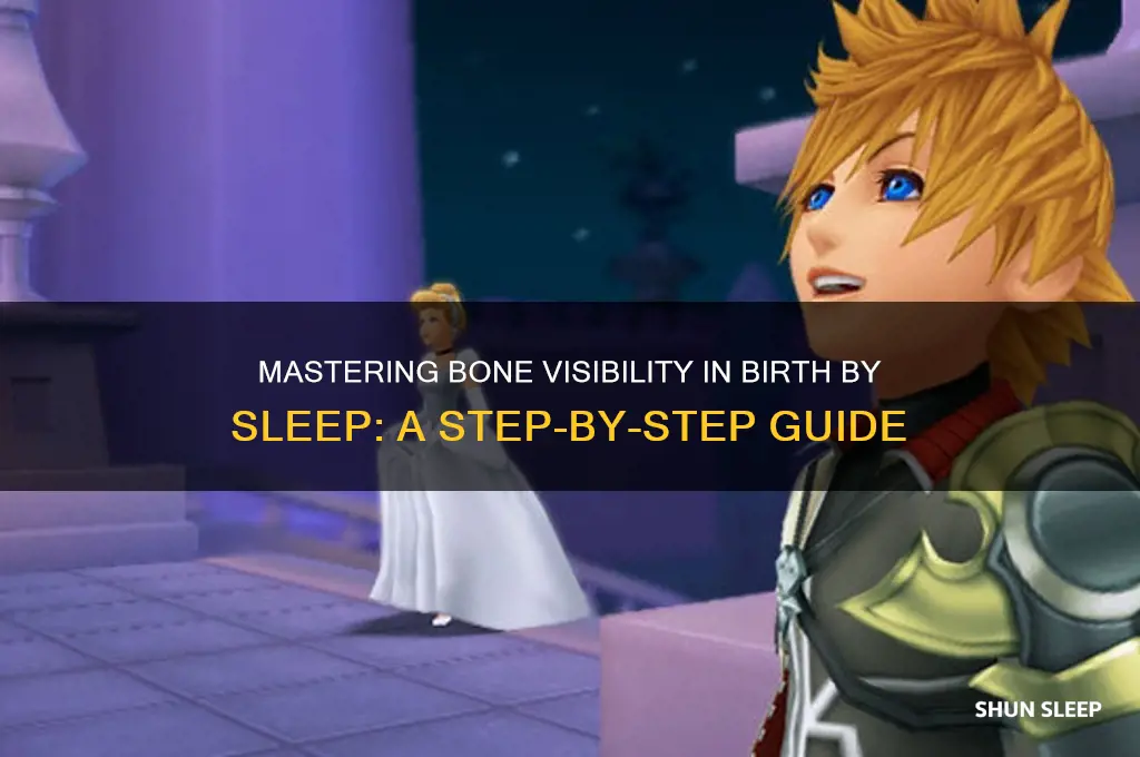 how to get bones seen birth by sleep