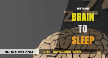 Mastering Sleep: Proven Strategies to Calm Your Brain and Rest
