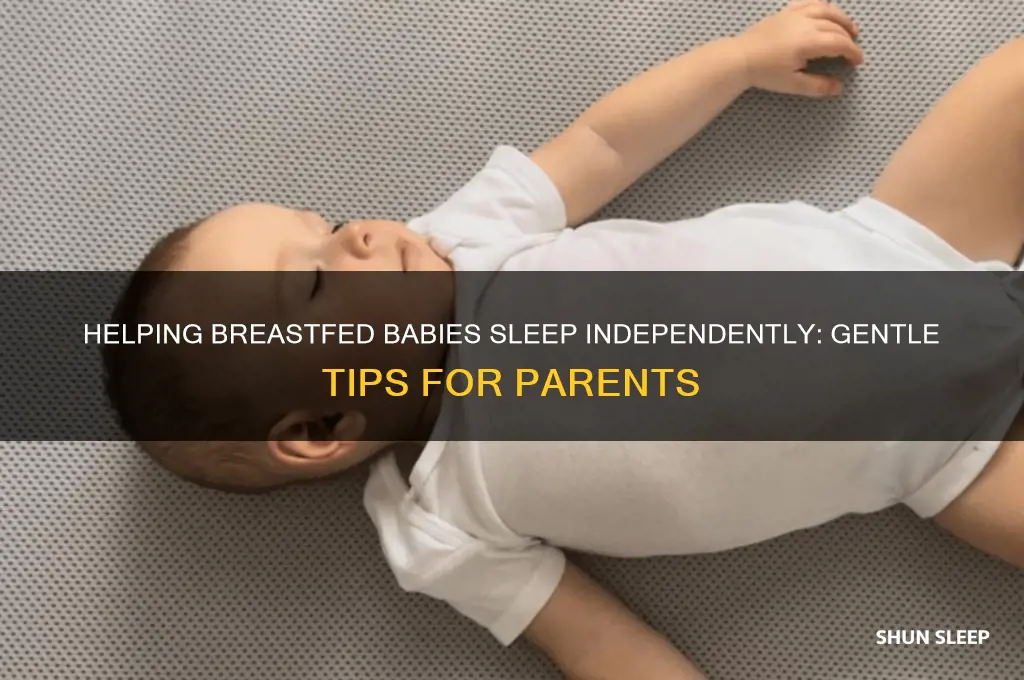 how to get breastfed baby to sleep alone