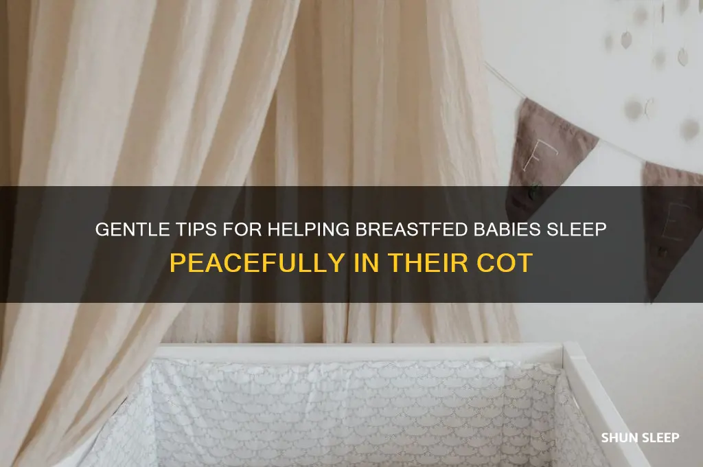 how to get breastfed baby to sleep in cot
