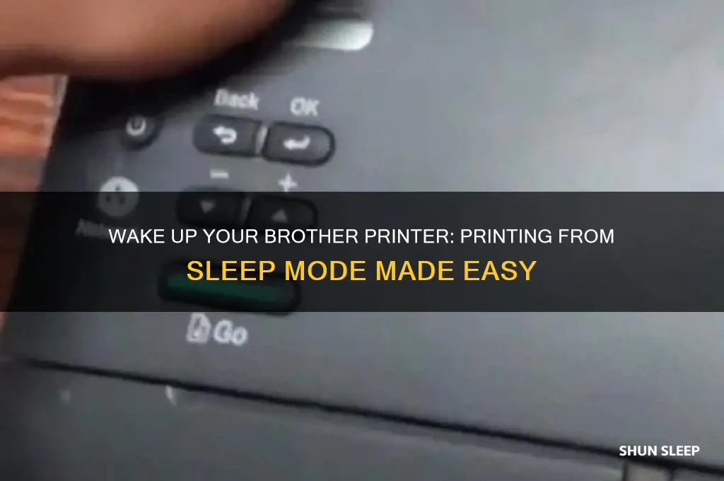 how to get brother pinter to print on sleeping mode