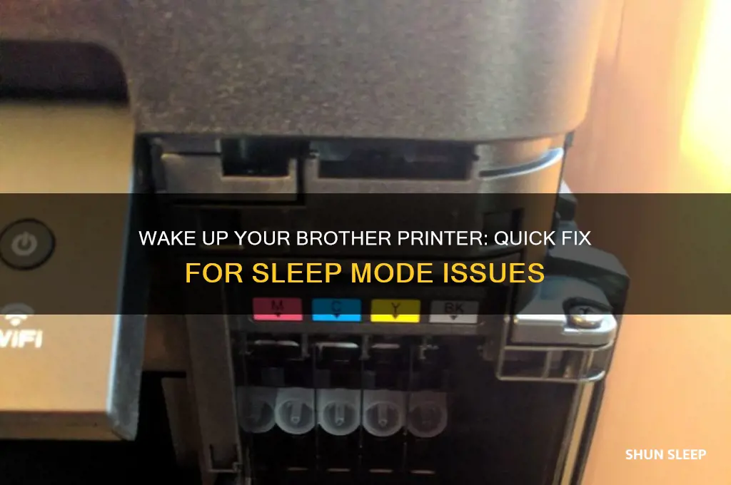 how to get brother printer back from sleep