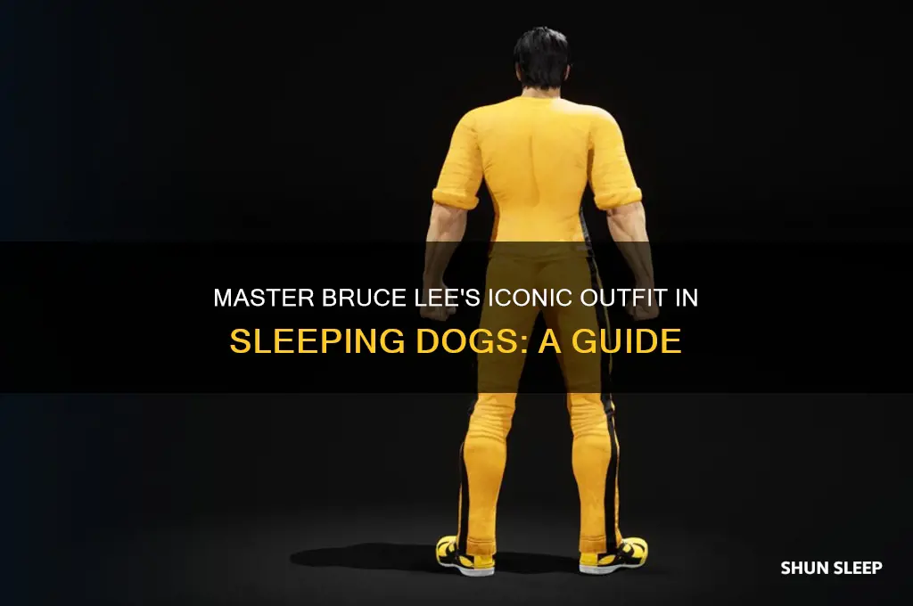 how to get bruce lee outfit sleeping dogs