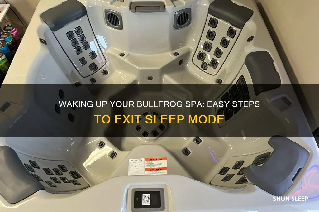 how to get bullfrog spa out of sleep mode