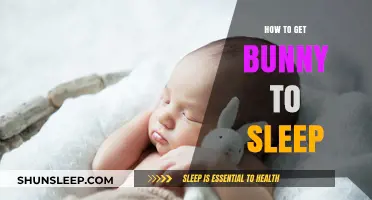 Gentle Tips for Helping Your Bunny Drift Off to Sleep