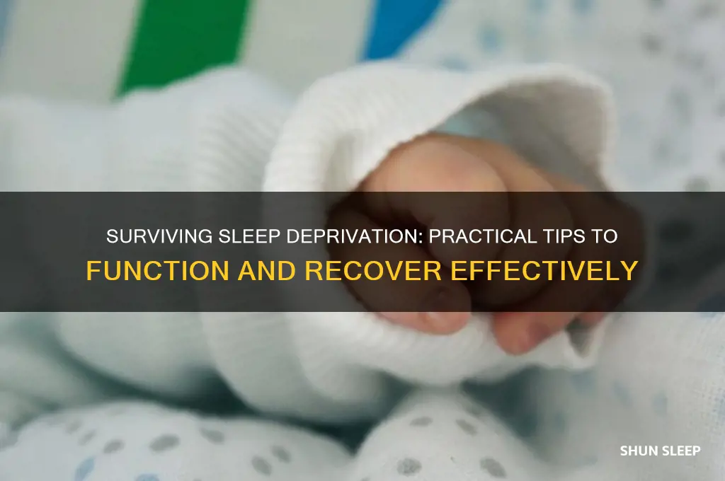 how to get by after sleep deprivation