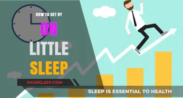 Surviving and Thriving: Mastering Productivity on Minimal Sleep Strategies
